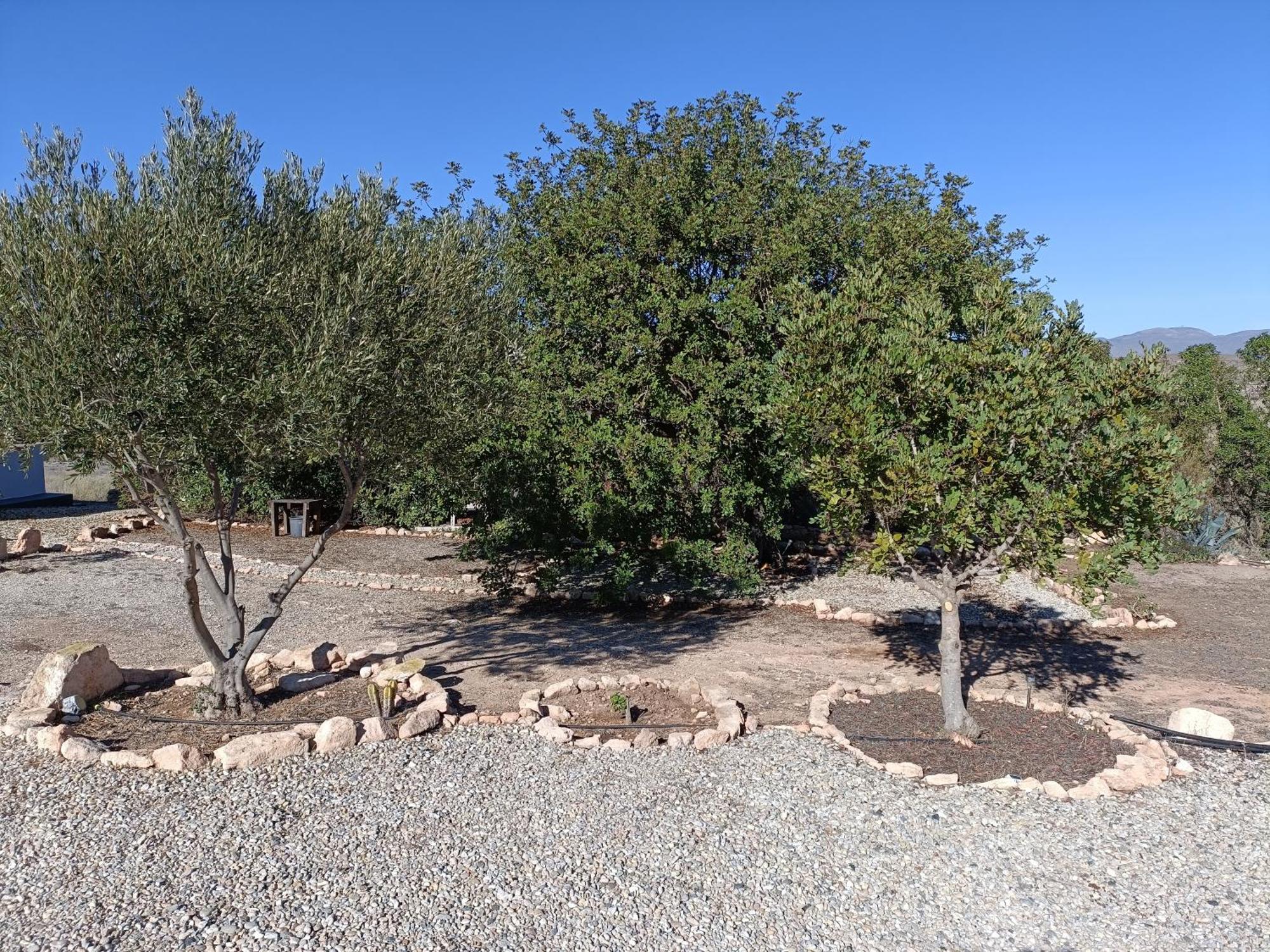 Villa El Cerrillo Agua Amarga  Esterno foto